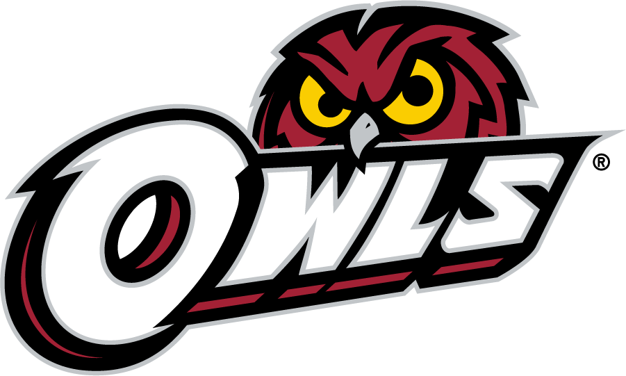 Temple Owls 2014-2020 Secondary Logo DIY iron on transfer (heat transfer)